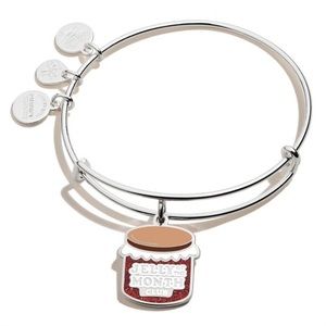 Brand new Christmas vacation Alex and ani